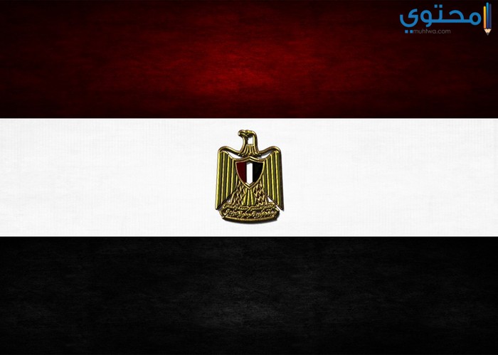 صور علم مصر 2025 بجودة عالية HD (العلم المصري)