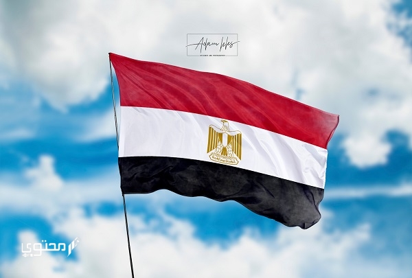 صور علم مصر 2025 للفيس بوك