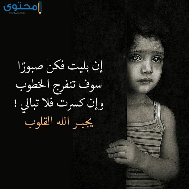 اروع الصور المعبرة