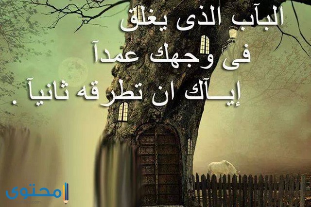 صور مكتوب عليها عبارات جميلة