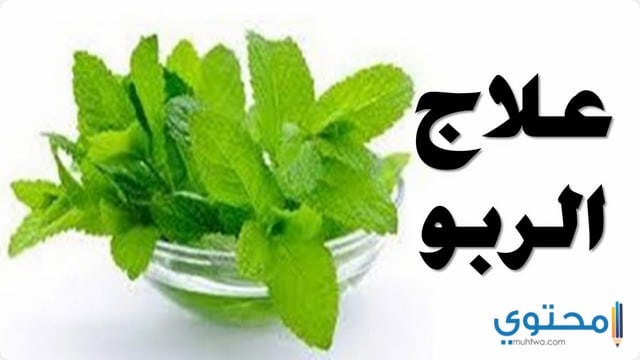 وصفات طبيعية لعلاج الربو