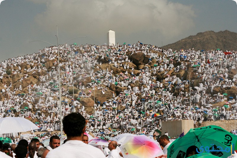 صور معالم السياحة في السعودية 2025 اجمل وجهات المملكة