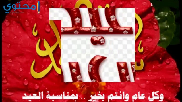  رسائل عيد الفطر بالصور