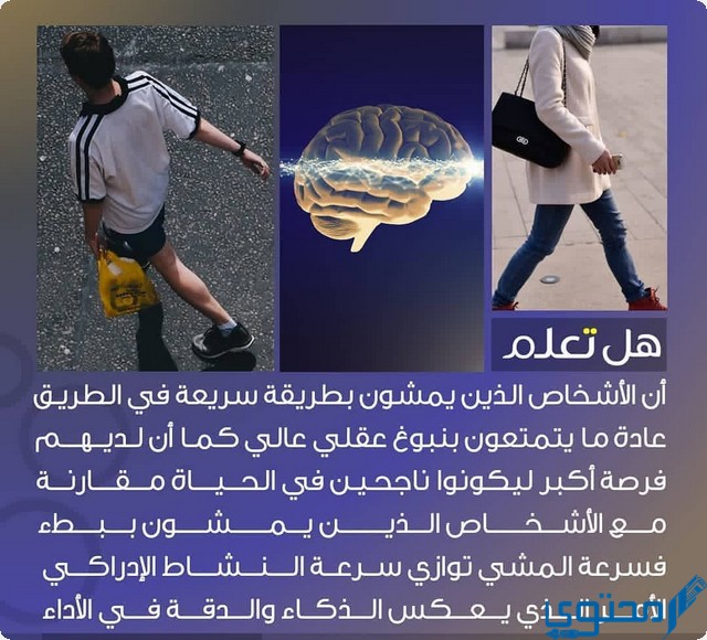 فقرة هل تعلم 