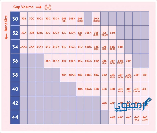 كيف أعرف مقاس الستيان بالحروف