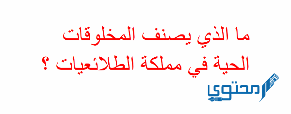 ما الذي يصنف المخلوقات الحية في مملكة الطلائعيات