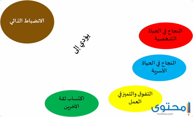 مبادئ الانضباط الذاتي