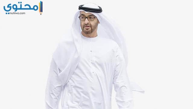 محمد بن زايد