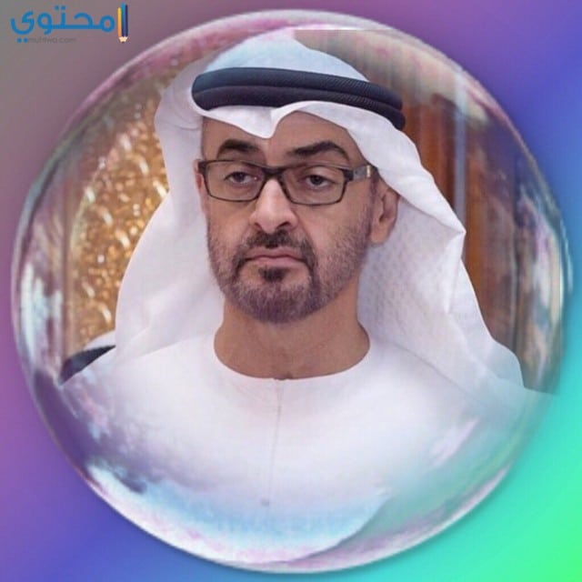 صور وخلفيات محمد بن زايد