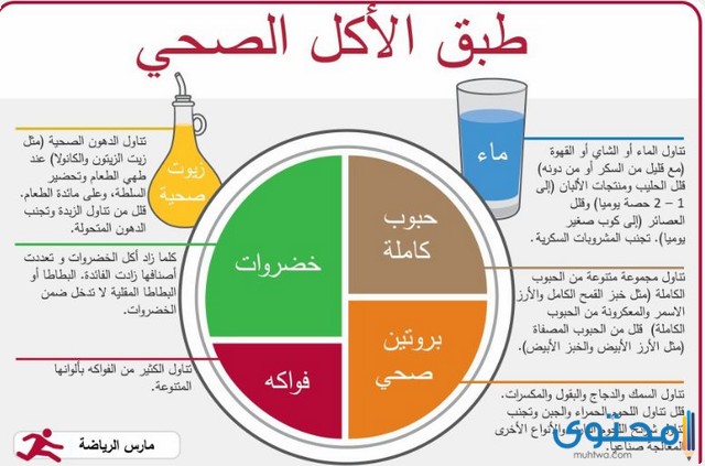 الهرم الغذائي