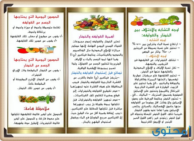 مطويات عن الغذاء الصحي