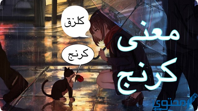 معنى كلمة كرنج