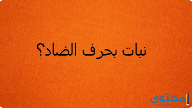 اسم نبات بحرف الضاد ض (5 نباتات بحرف ض)