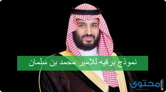 كيف تكتب برقية لمحمد بن سلمان