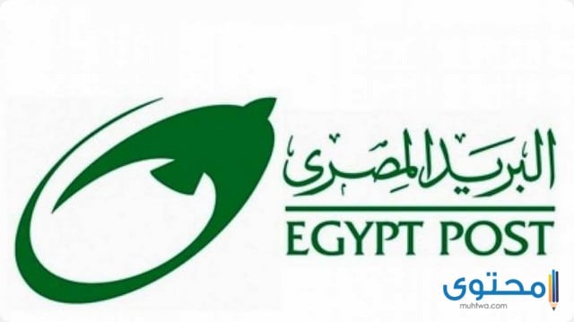 رقم خدمة البريد المصري جميع المحافظات 2025